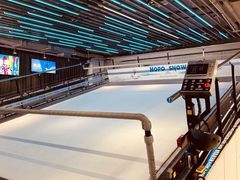 -Hopo Snow 城市滑雪空间(来福士广场购物中心店)