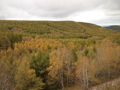 -塞罕坝国家级自然保护区