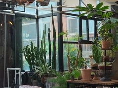-北马山庄植趣咖啡