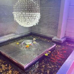 -苏亚医美·高端注射明星整形机构