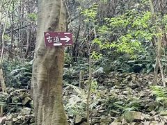 -宝界山林公园