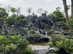 -东莞植物园
