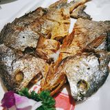 人气粤菜入驻申城