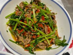 香菜炒牛肉-壹盏灯(蚂蚁工房店)