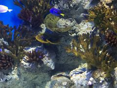 -福州罗源湾海洋世界旅游区