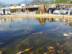 -江门古兜温泉小镇