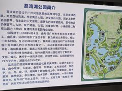 -荔湾湖公园