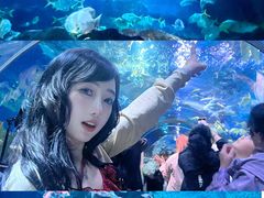 -大连圣亚海洋世界