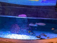 -沈阳海洋探索中心