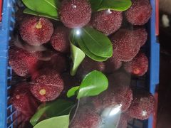 -江杨农产品批发市场