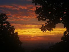 -铁山坪森林公园