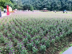 -广州市石门国家森林公园