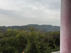 -天鹿湖森林公园