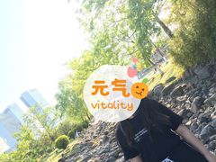 -白塘生态植物园