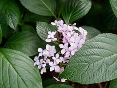 -上海吴淞炮台湾国家湿地公园