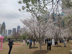 -西北湖绿化广场
