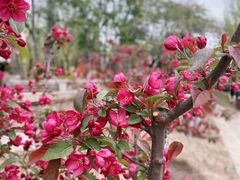 -元大都城垣遗址公园