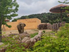-沈阳森林动物园