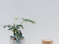 -Onirii Coffee(长乐路店)