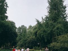 -邓小平故里