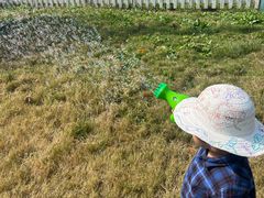 -前小桔亲子创意农场·草莓采摘·露营烧烤