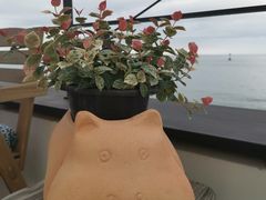 -Cafe Rooftop Cheongsapo