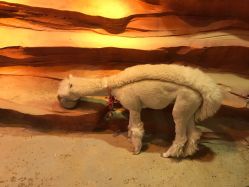 -酷嗒动物文化乐园(cutezoo西溪乐天城店)