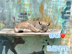 -青藏高原野生动物园