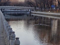 -南长河公园