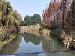 -金沙遗址博物馆