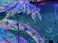 -海合安青岛极地海洋公园