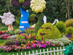 -上海共青森林公园