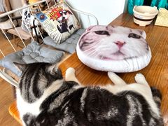 -小时光咖啡馆(开森度假森林店)