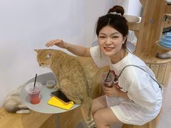 -Heymao猫咖.咖啡厅(东门店)