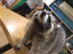 -藦茜花园宠物主题亲子互动体验馆(国顺东路店)
