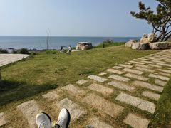 -养马岛旅游度假区