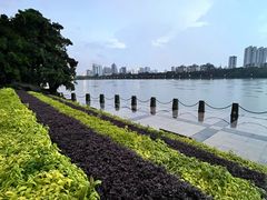 -南宁南湖公园