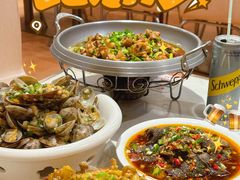 -辣四方新派川菜