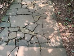-都江堰中华大熊猫苑