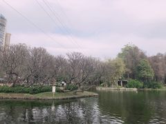 -晓港公园