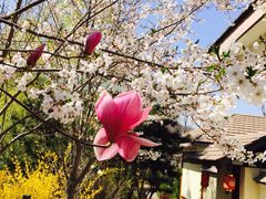 -金石唐风国际温泉会馆