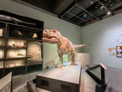 -香港科学馆