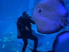 -烟台海昌鲸鲨海洋公园