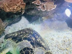 -福州罗源湾海洋世界旅游区
