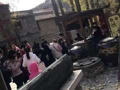 -古北烤梨