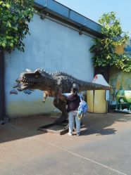 -宝燕乐园(闵行旗舰店)