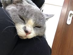 -康乐宝动物医院