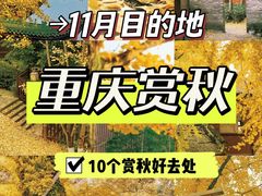 -埠口精酿夜景餐酒吧· BREWPORT BISTRO(长嘉汇重庆之眼店)
