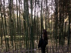 -沕沕水生态风景区