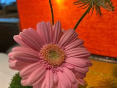 -桂满陇·手作小笼包&江南叫花鸡(中山公园店)